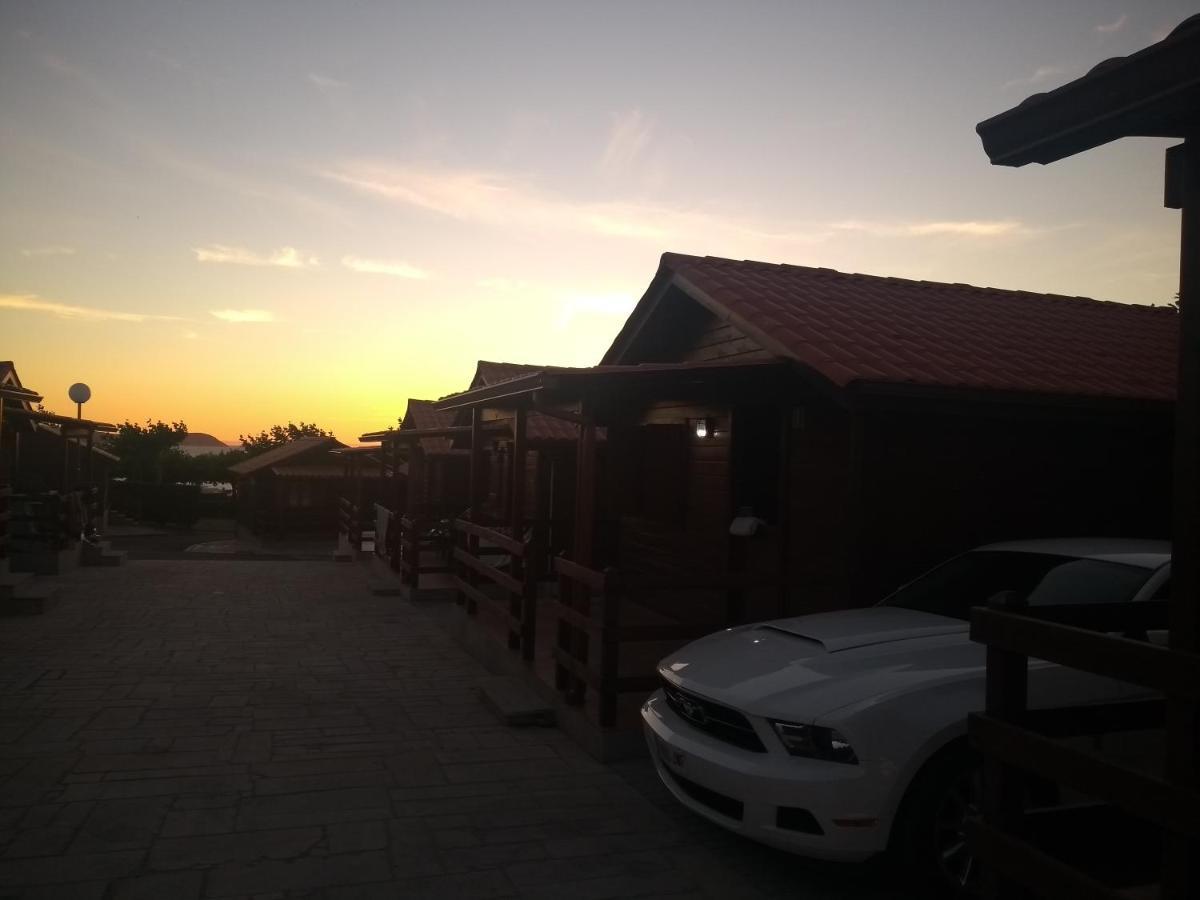 Paxarinas 2*