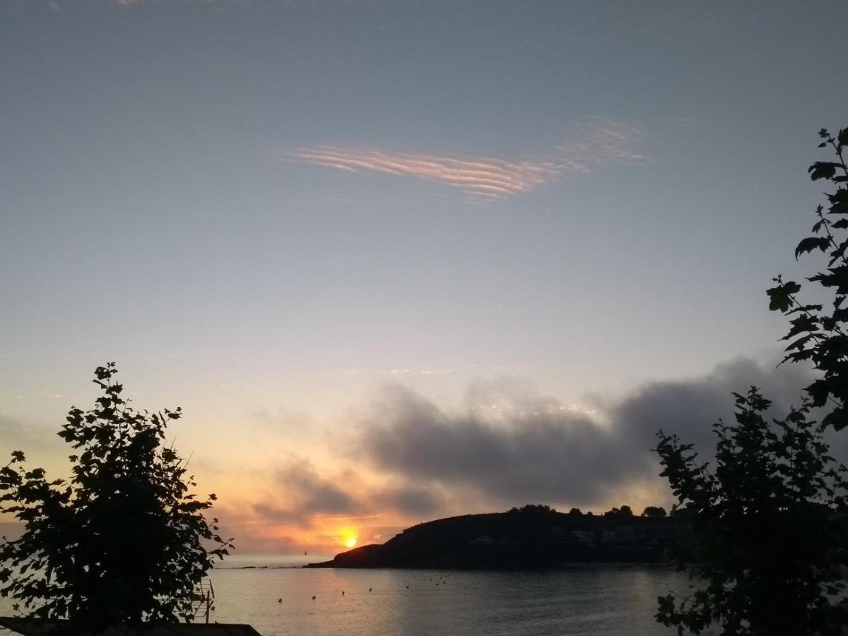 Paxarinas Portonovo